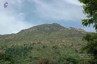 May 20 1989