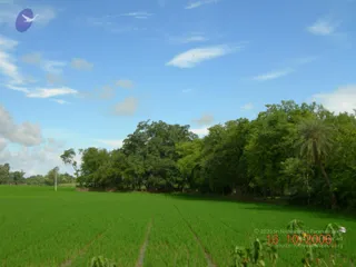 October 16 2006