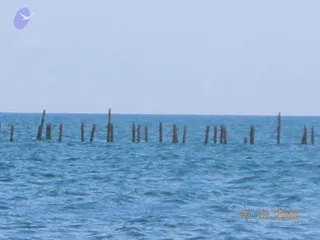October 15 2006