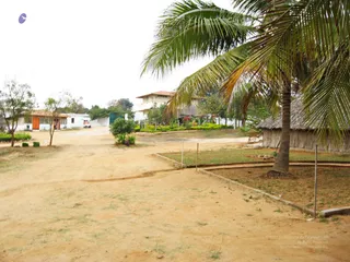 February 05 2008