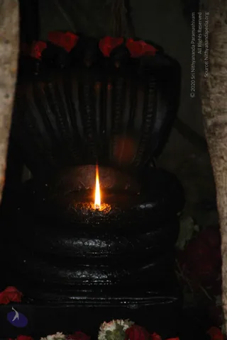 20120731 Photo 1007 1jeWtUyLi-Drwjg12JMYxQgO5utGFhKb .JPG