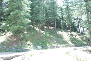 July 02 2008