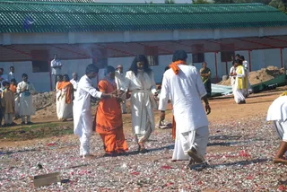 20081027 0592.jpg