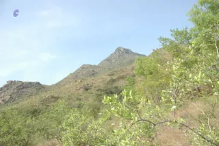 1978 - Tiruvannamalai - InnerGirivala