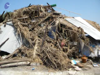 October 11 2009