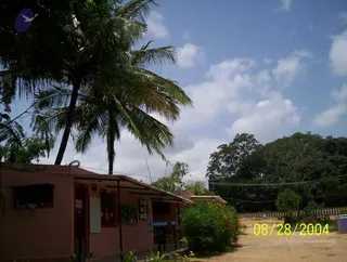 August 28 2004