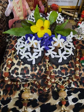 Photo 9917401