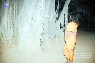 February 25 2007