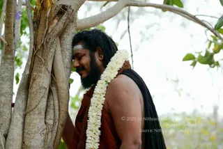 March 11 2017
