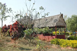 February 19 2008