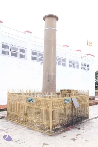 20110731 Photo 1119 1fAiih6Cys3r0myYNsHYWHmzMshqx6V-b.JPG
