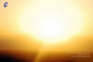 January 12 2009