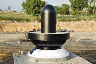 November 20 2008