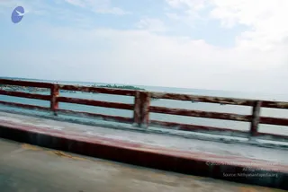 January 14 2009