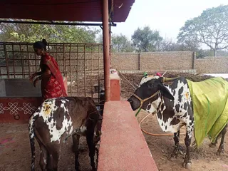 Jan 17 2022 sripuram