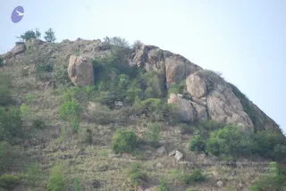 August 05 2009