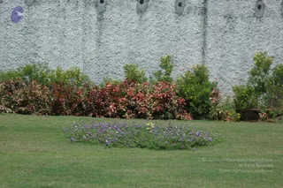 March 03 2007