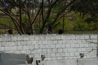 June 05 2010