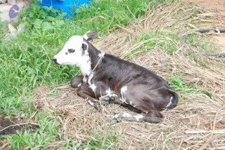 August 01 2010