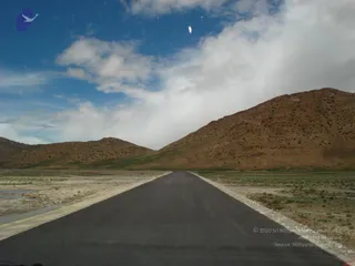 August 03 2011