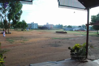 June 01 2009