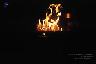 June 06 2010