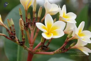 July 08 2010