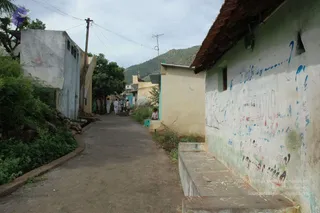 May 20 1989