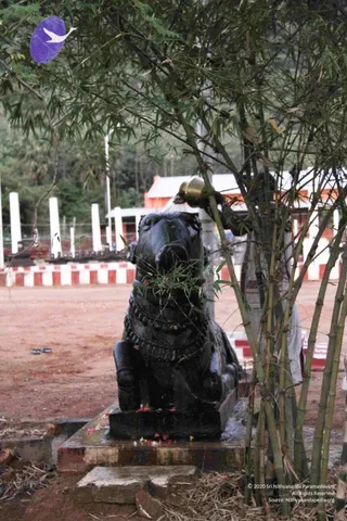 20110926 Photo 1022 11rx I S VELJX1QY8XHN7m1Y7HyA5npo.JPG
