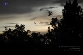 August 10 2011