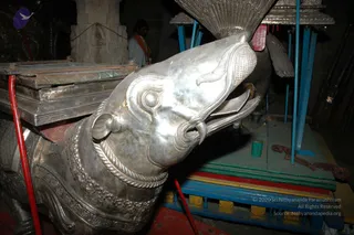 Making Of Sacred Arts University