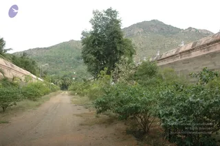 July 08 2012
