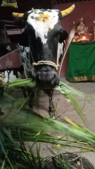 December 23 2022 sripuram