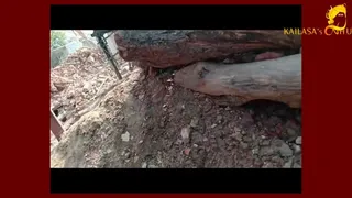 Varanasi Aadheenam Persecution