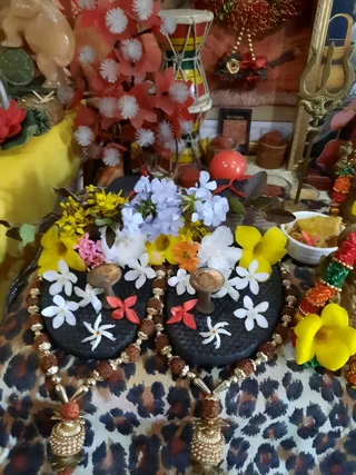Photo 9917793