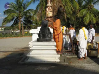 March 05 2008