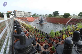 July 05 2011