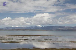 September 01 2011