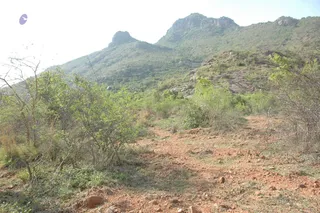 1978 - Tiruvannamalai - InnerGirivala