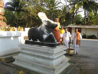 March 05 2008