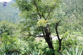 July 02 2008