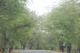 August 03 2009
