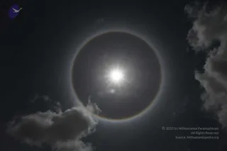 July 11 2010
