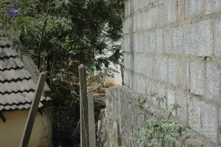 March 03 2007