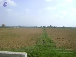 September 2006 - Sindhanur flood relief