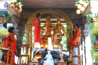 June 15 2009