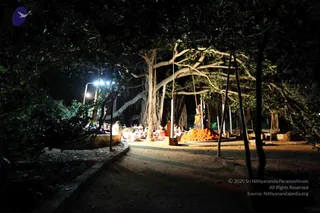 November 19 2009