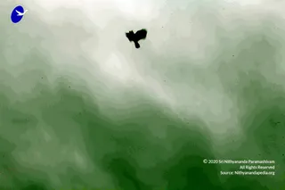 December 20 2010