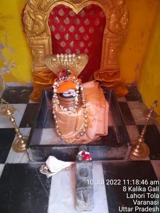 Photo 9918056