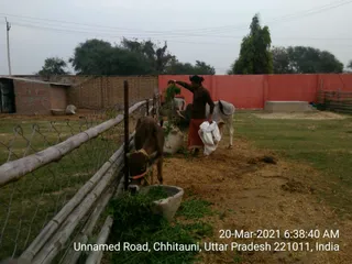 APATH SANYASI - MALE on 3/20/2021